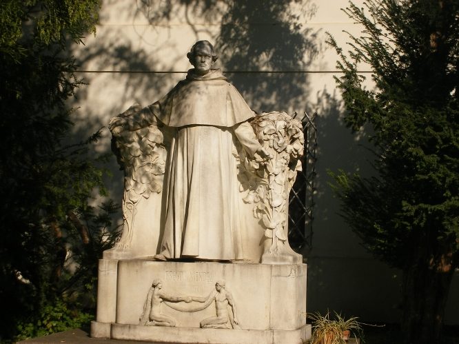 Gregor Mendel monument, Brno.jpg